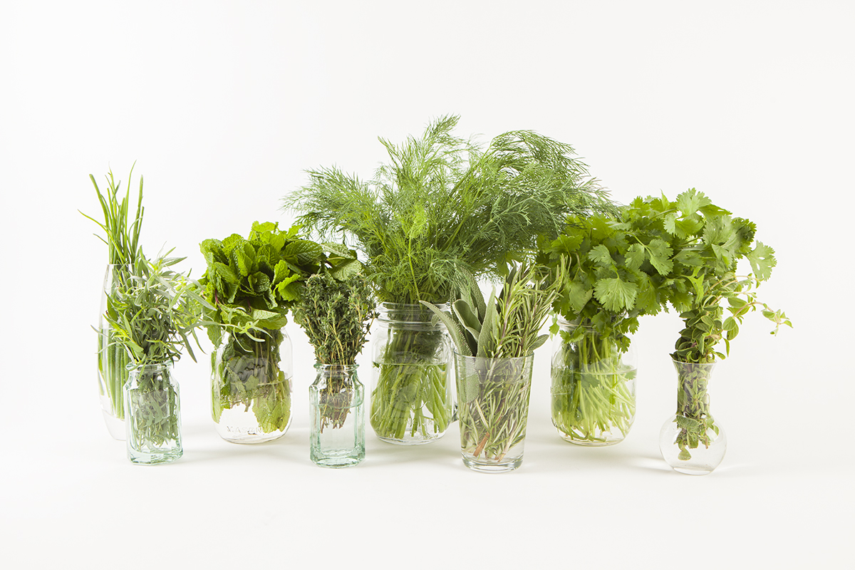 various herbs in jars